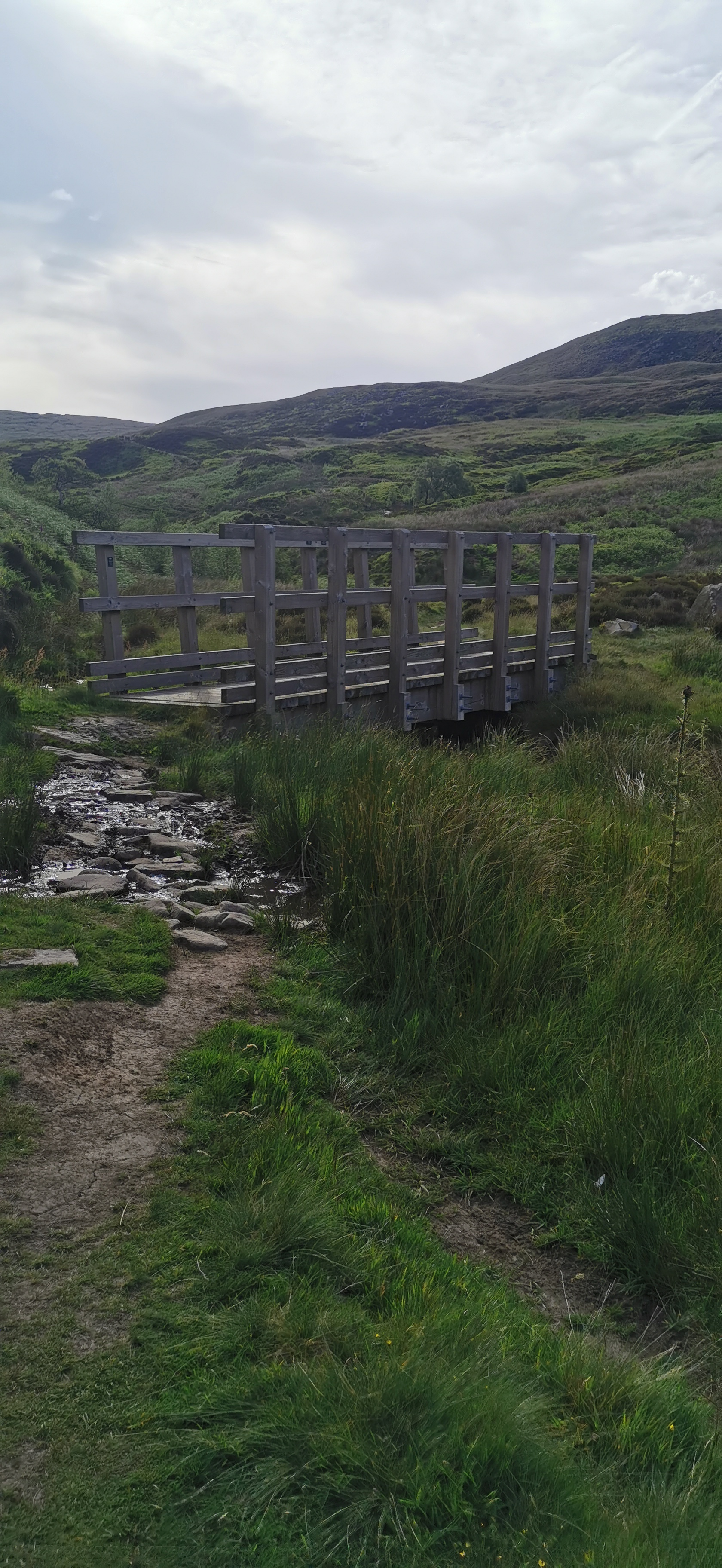 Photo taken between Doctor