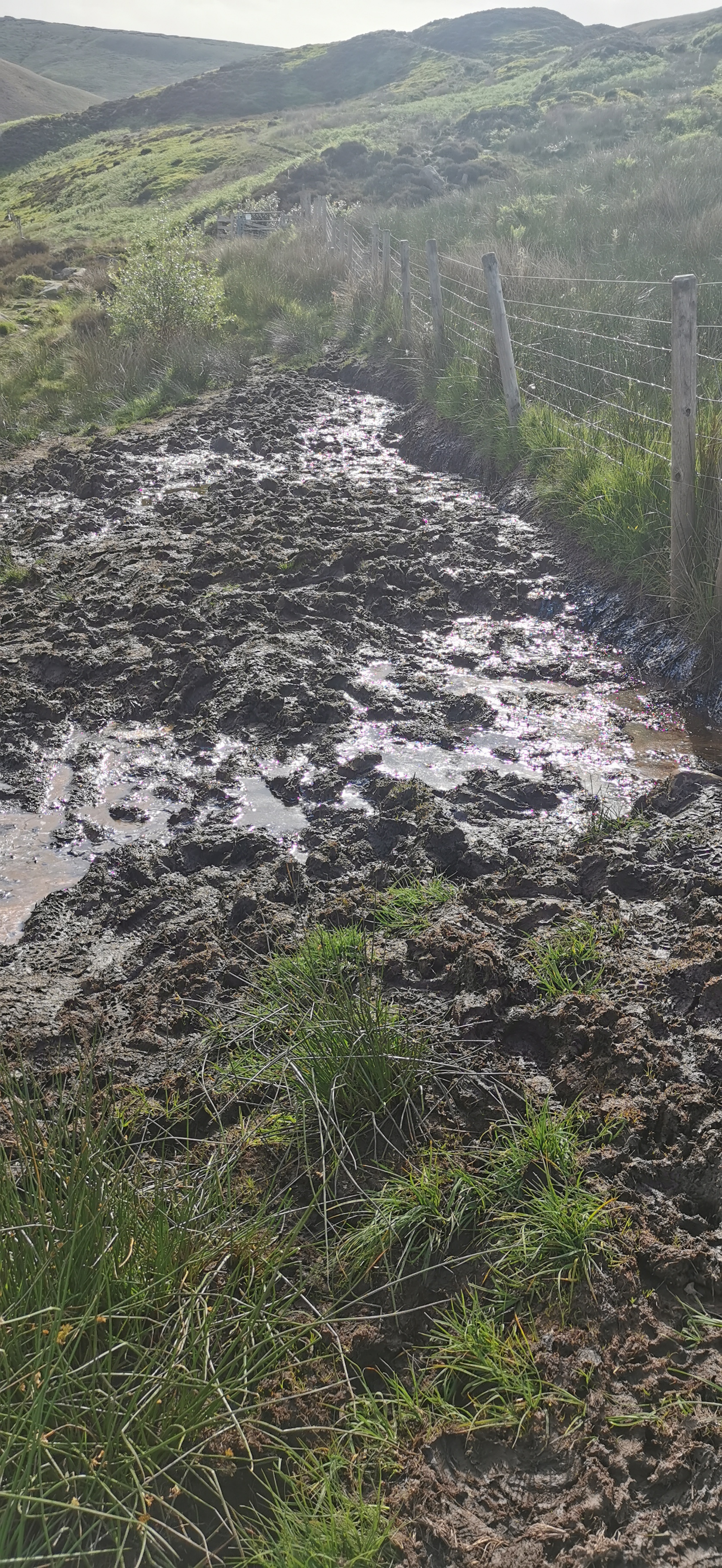 Photo taken between Doctor