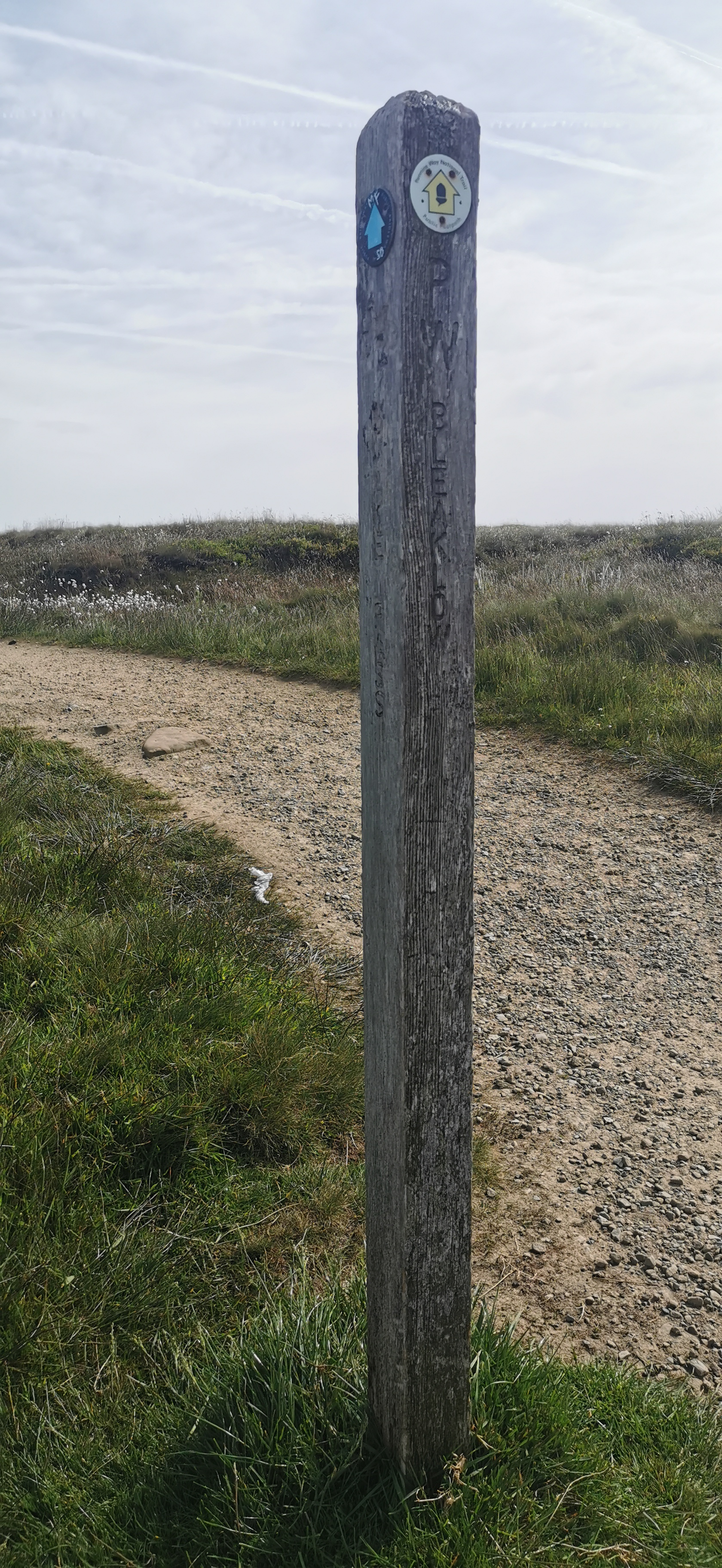 Photo taken between Doctor