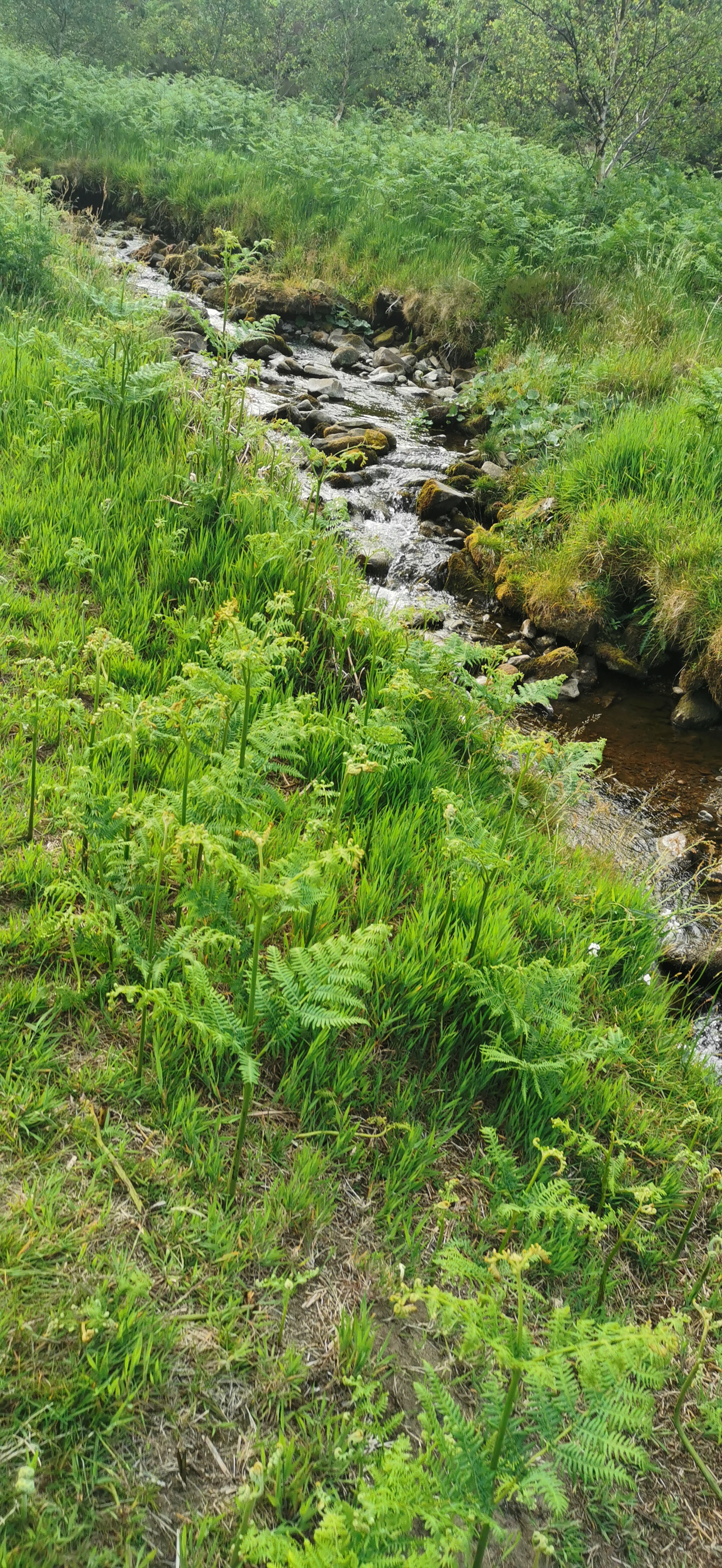Photo taken between Glossop Circular and Doctor