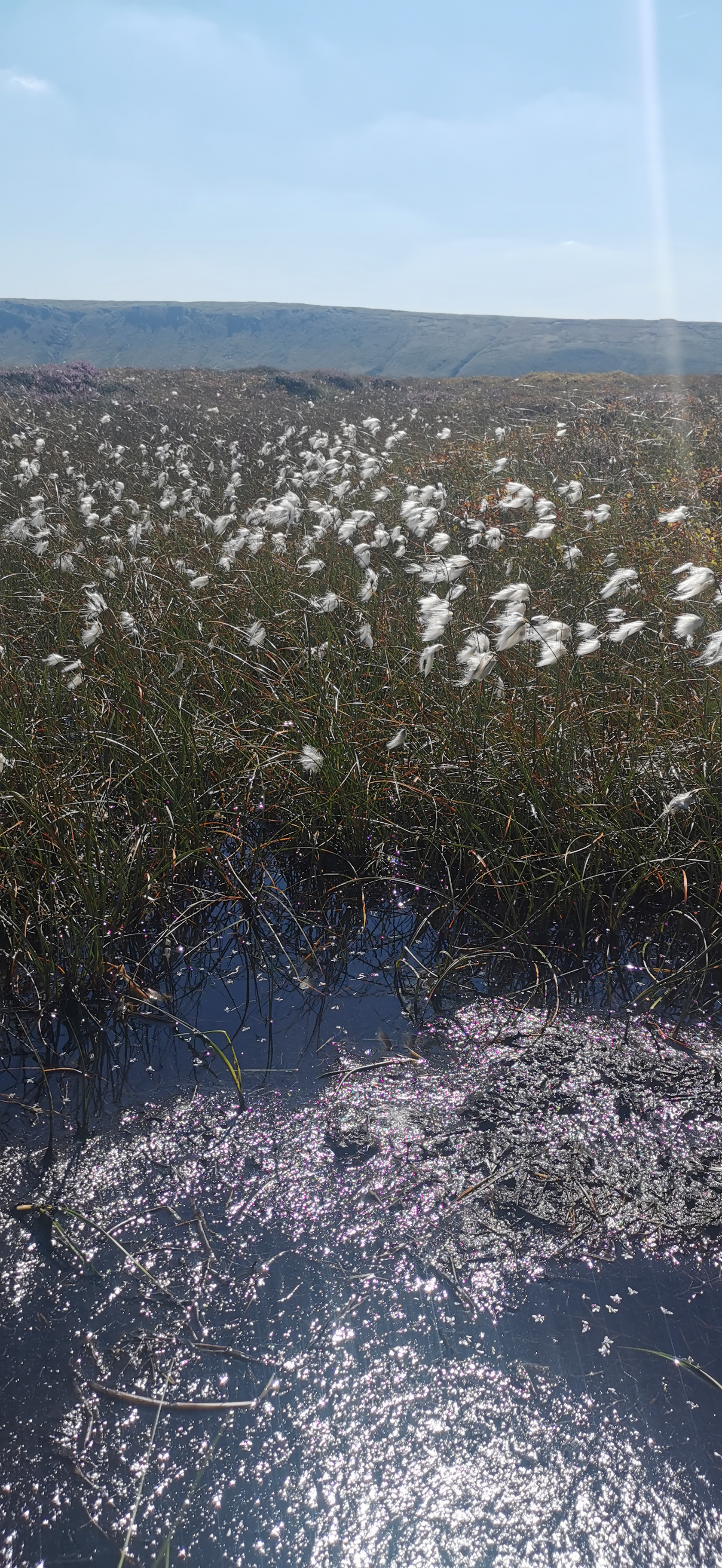 Photo taken between Moss Castle and Featherbed Top Photo taken between Moss Castle and Featherbed Top