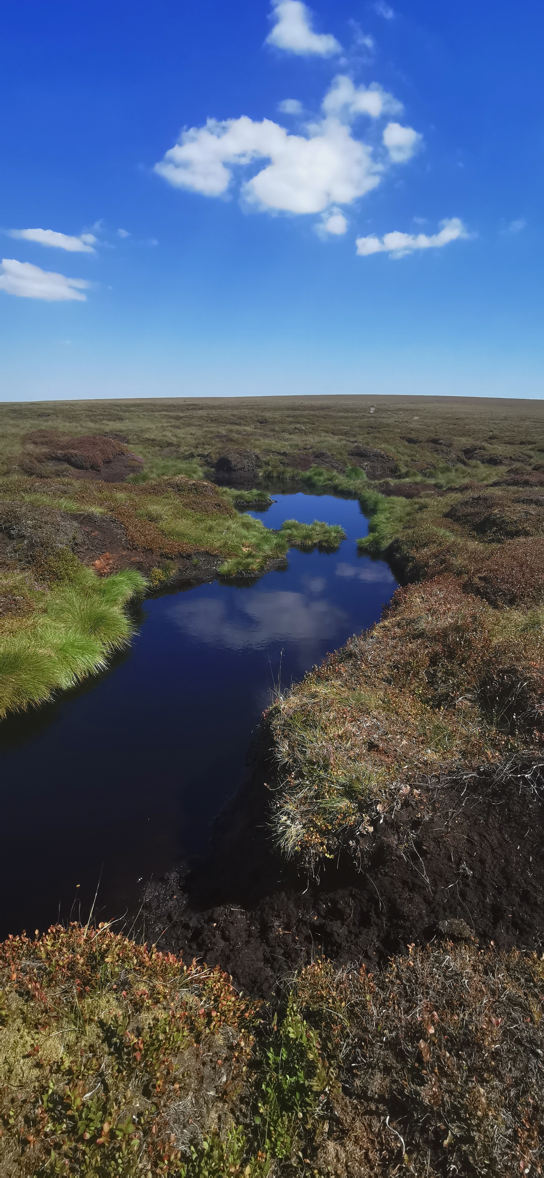 Photo taken between Moss Castle and Featherbed Top Photo taken between Moss Castle and Featherbed Top