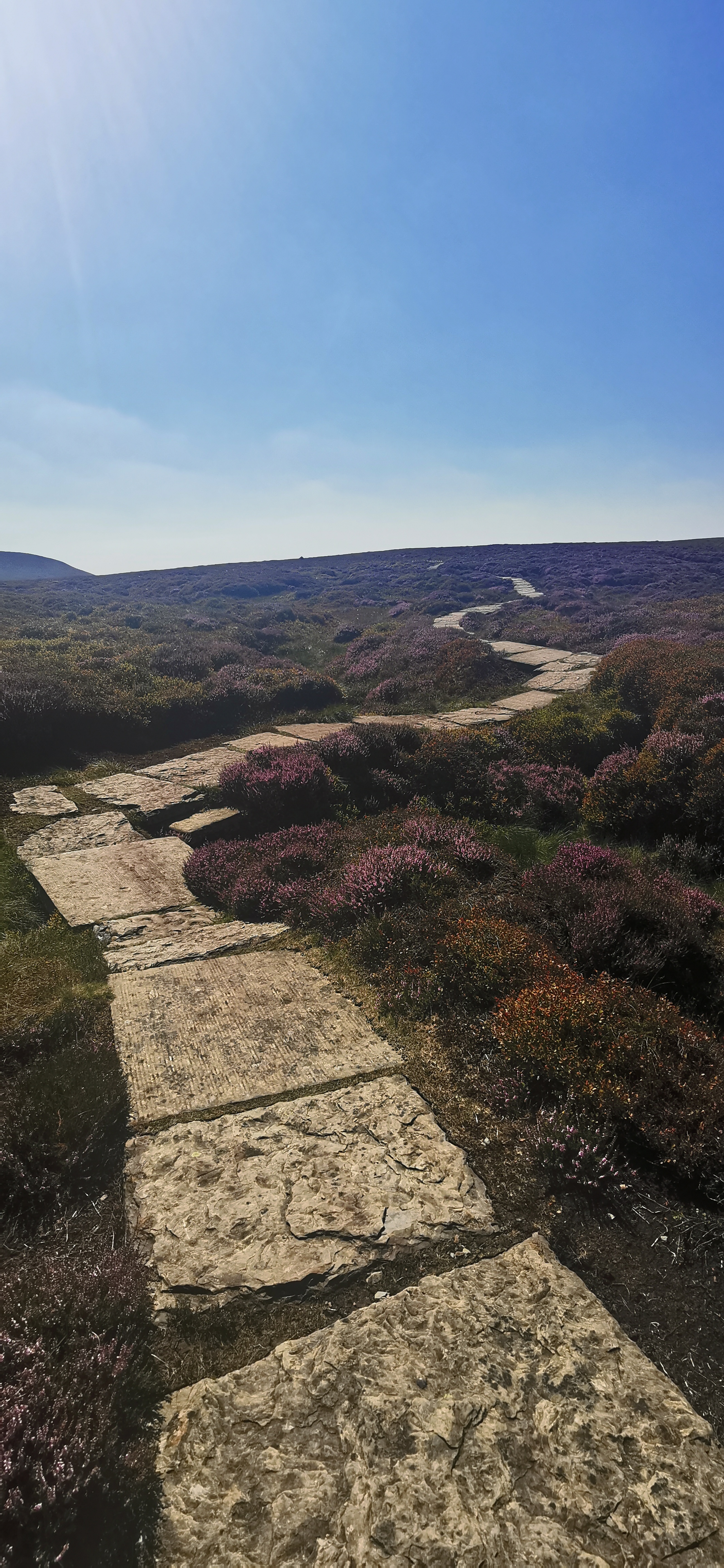 Photo taken between Featherbed Top and Glossop Circular Photo taken between Featherbed Top and Glossop Circular