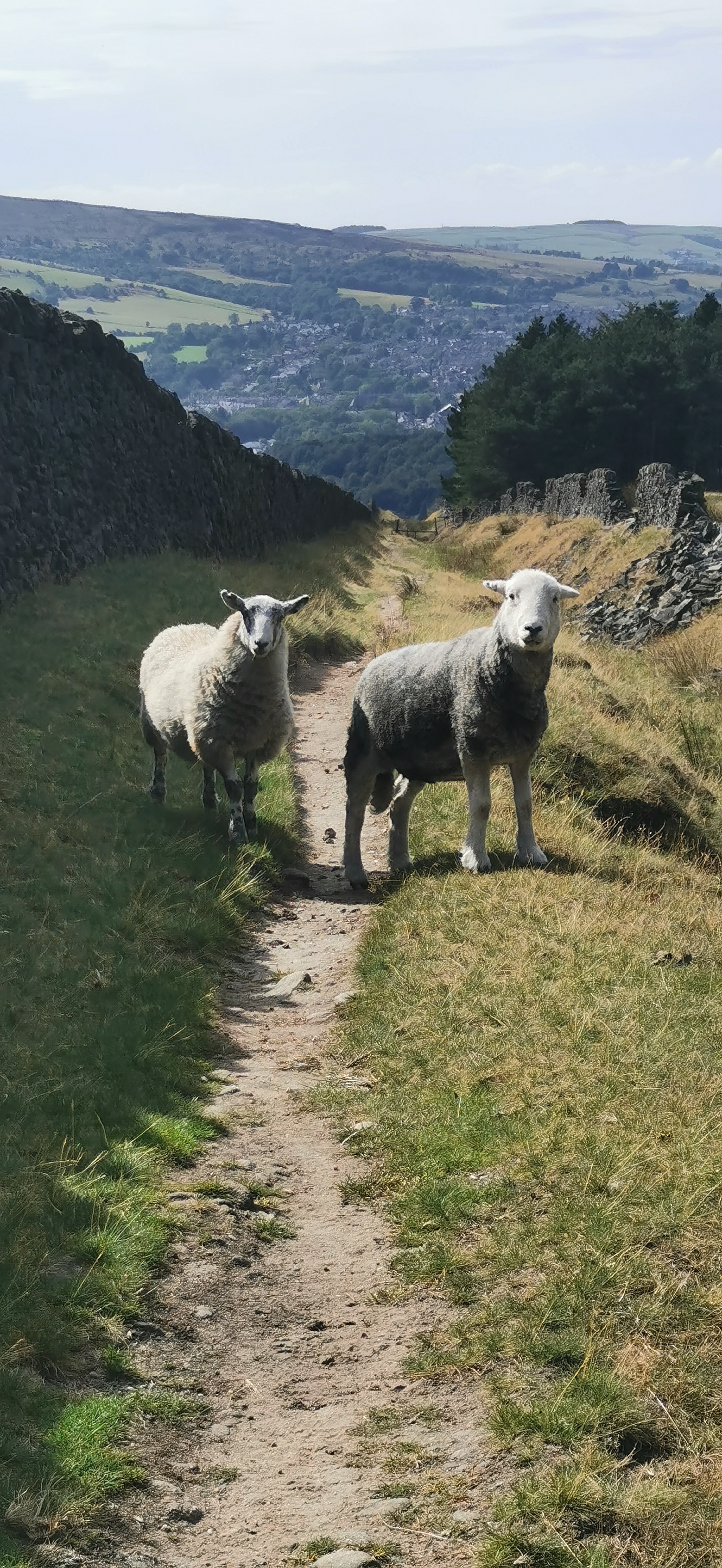 Photo taken between Glossop Low Cabin and Glossop Circular