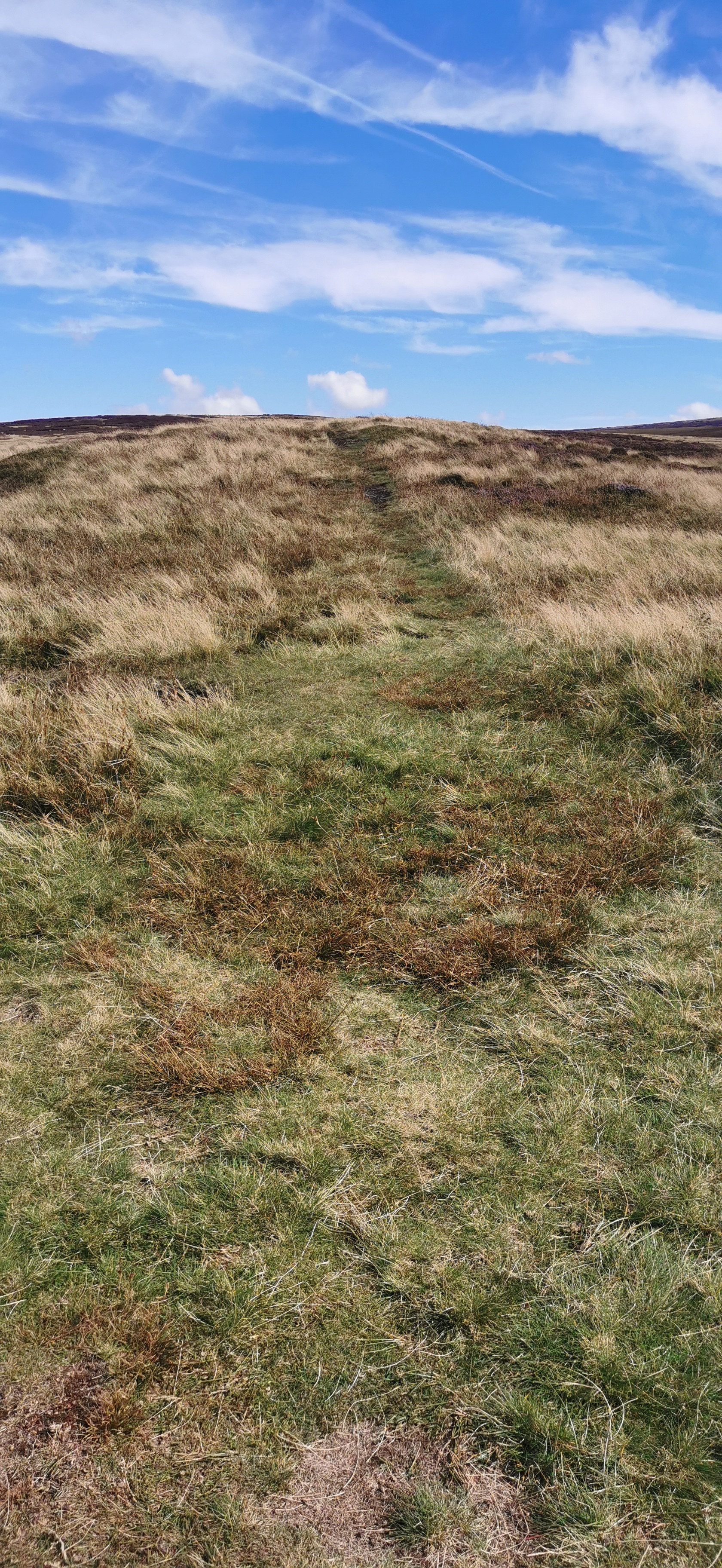 Photo taken between Cock Hill and Glossop Low Cabin
