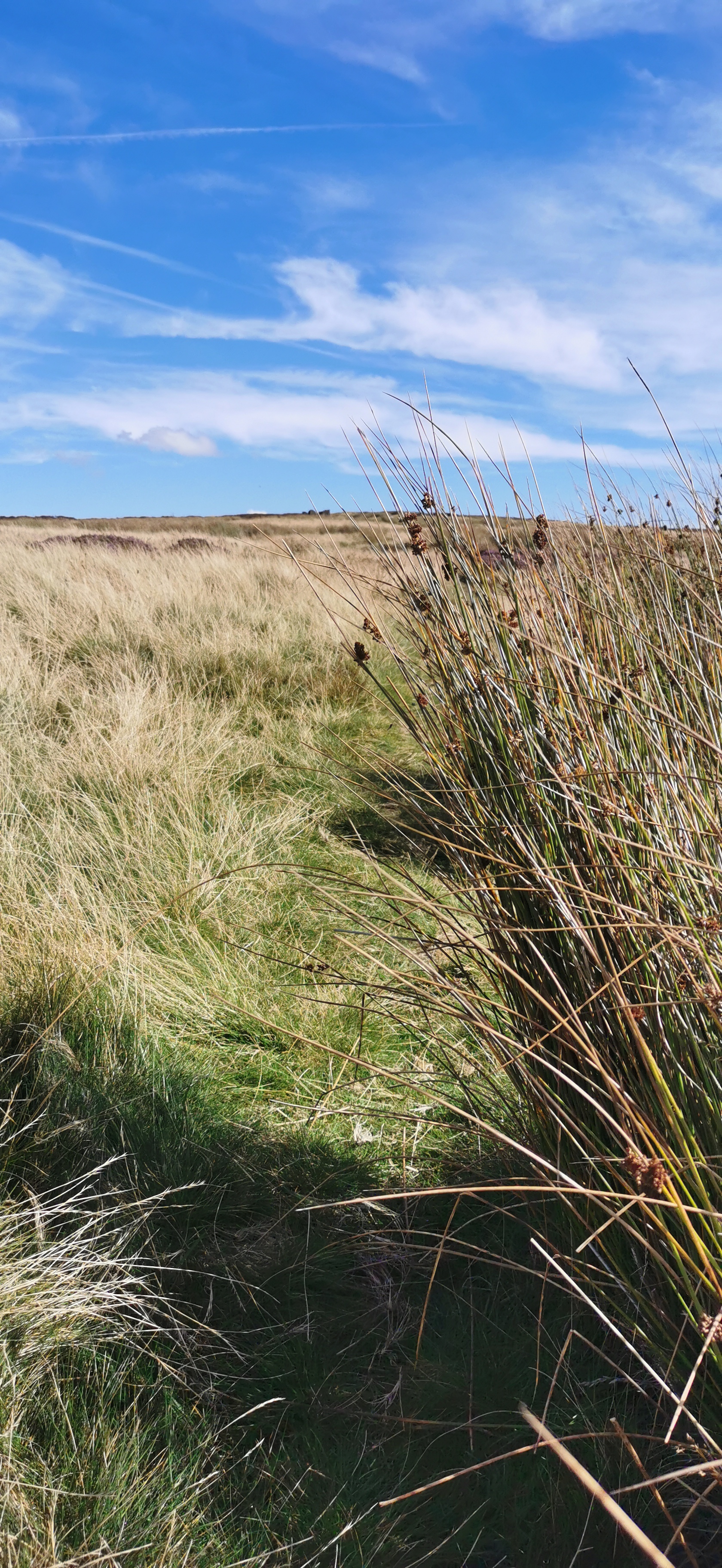 Photo taken between Cock Hill and Glossop Low Cabin
