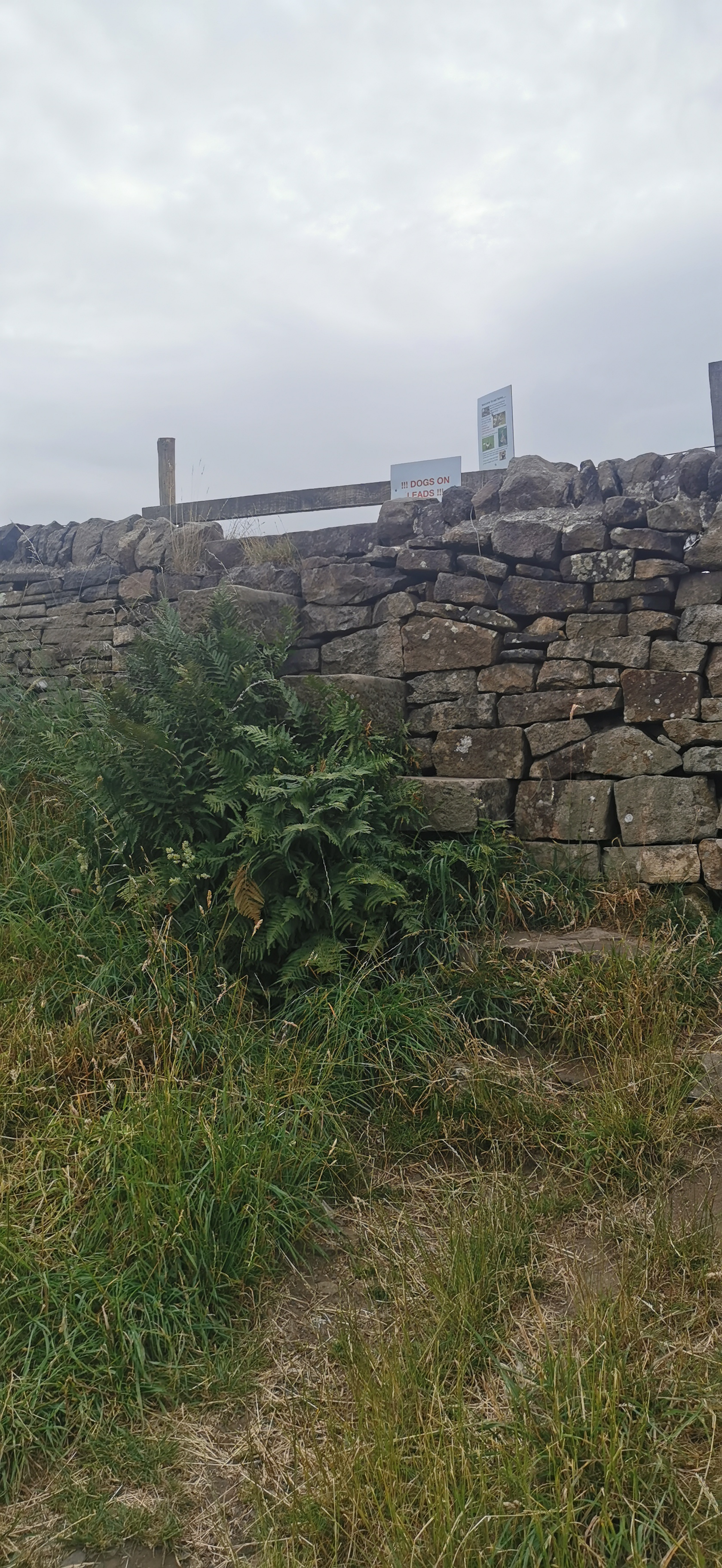 Photo taken between Glossop Circular and Harry Hut