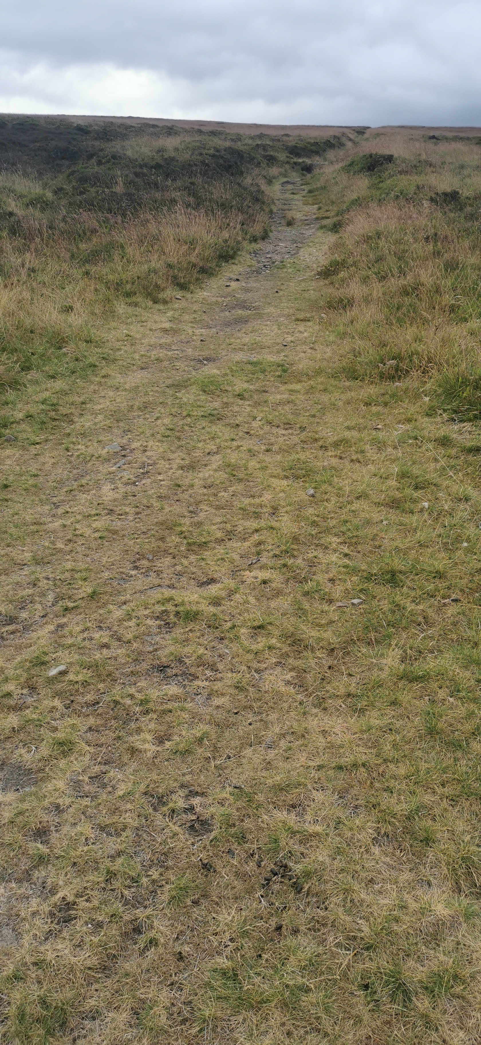 Photo taken between Glossop Circular and Harry Hut