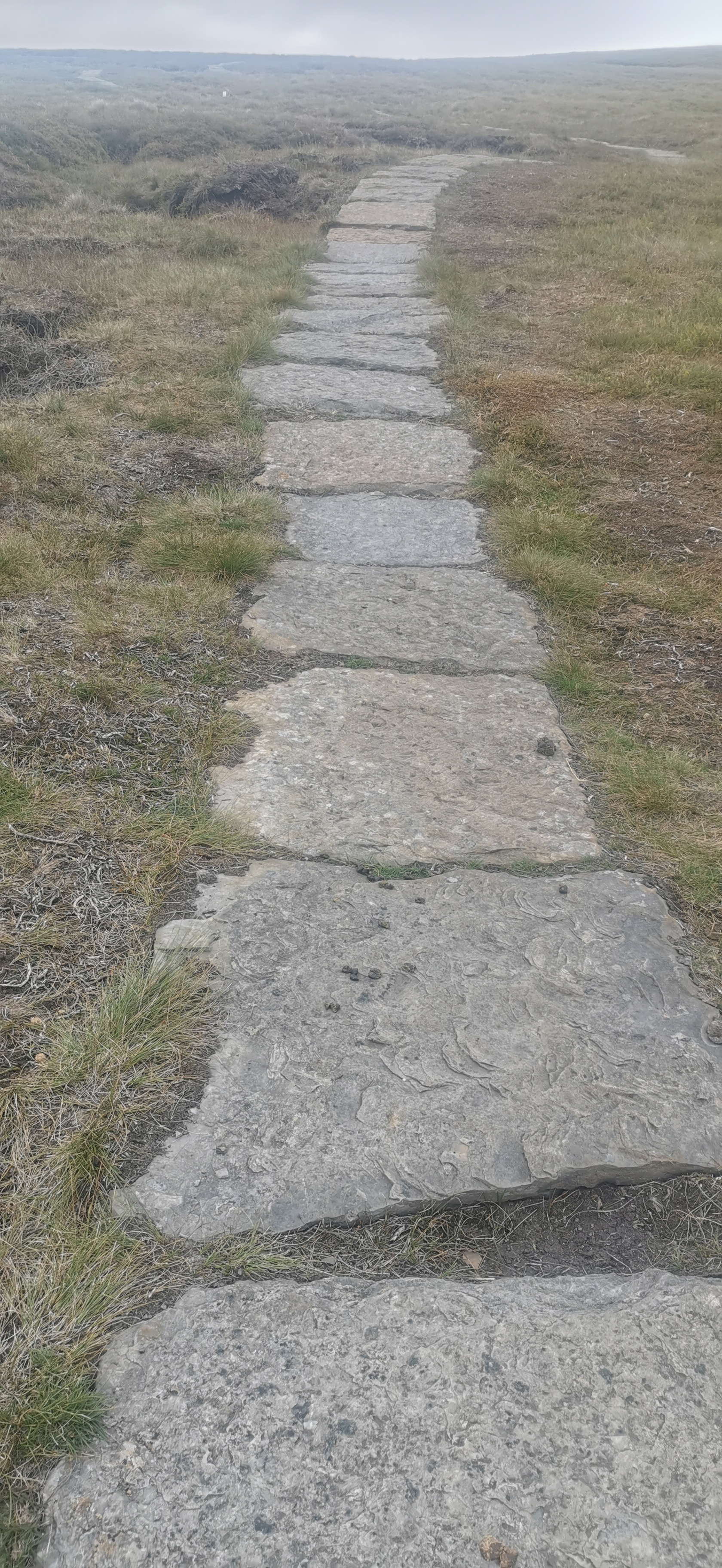 Photo taken between Harry Hut and Mill Hill