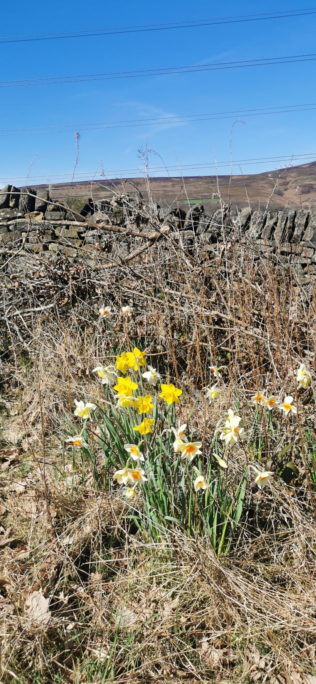 Photo taken between Torside Reservoir and Bottoms Reservoir Photo taken between Torside Reservoir and Bottoms Reservoir