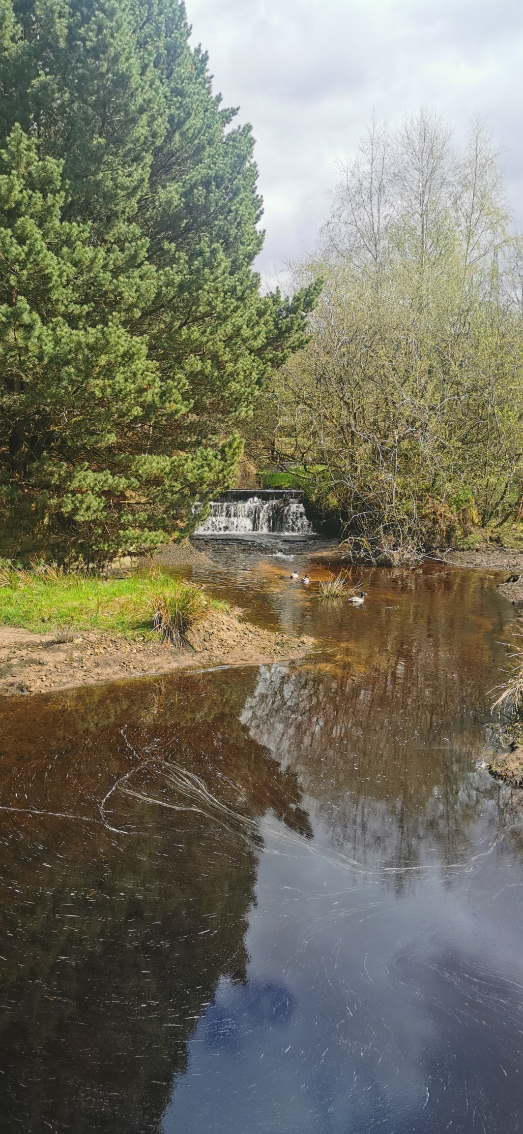 Photo taken between Arnfield Reservoir and Arnfield Stream Bridge Photo taken between Arnfield Reservoir and Arnfield Stream Bridge