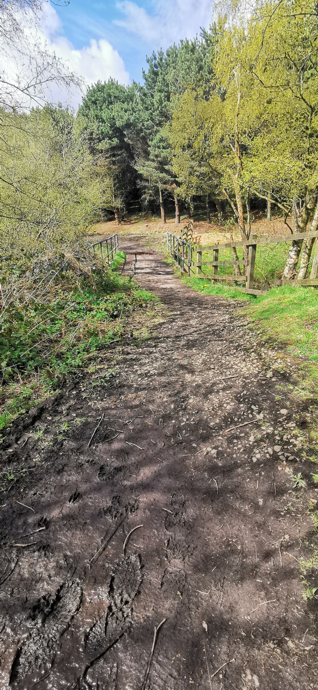 Photo taken between Arnfield Stream Bridge and Swallow Photo taken between Arnfield Stream Bridge and Swallow