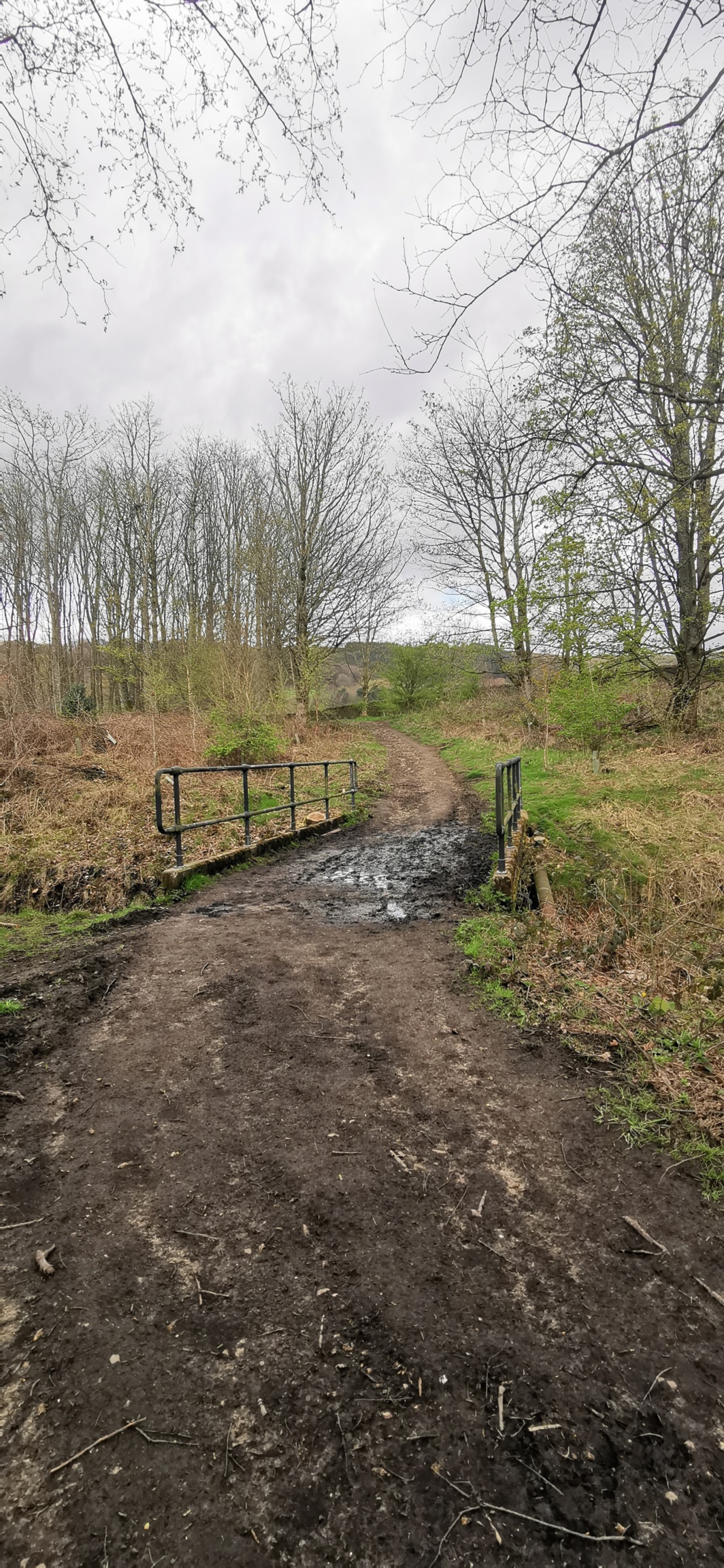 Photo taken between Arnfield Stream Bridge and Swallow Photo taken between Arnfield Stream Bridge and Swallow