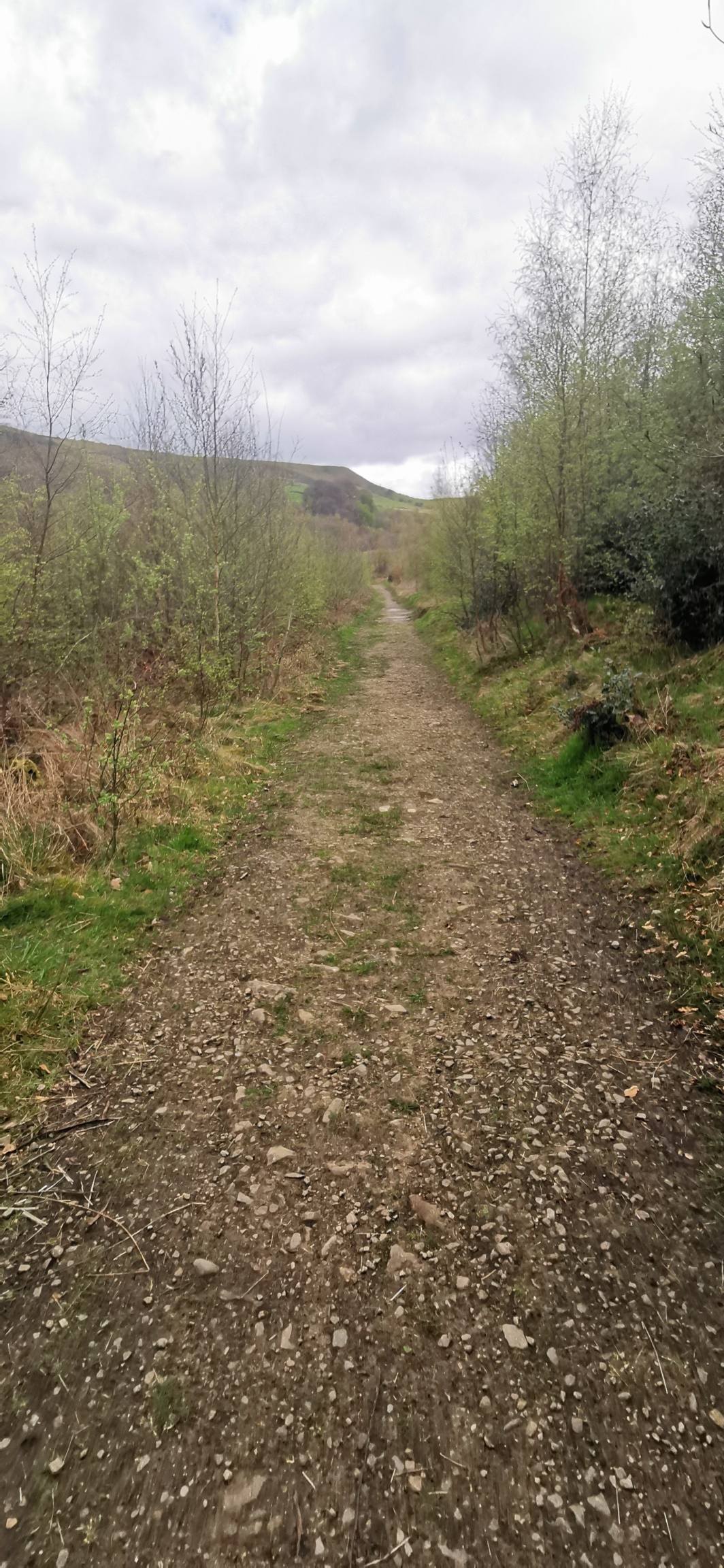 Photo taken between Swallow Photo taken between Swallow