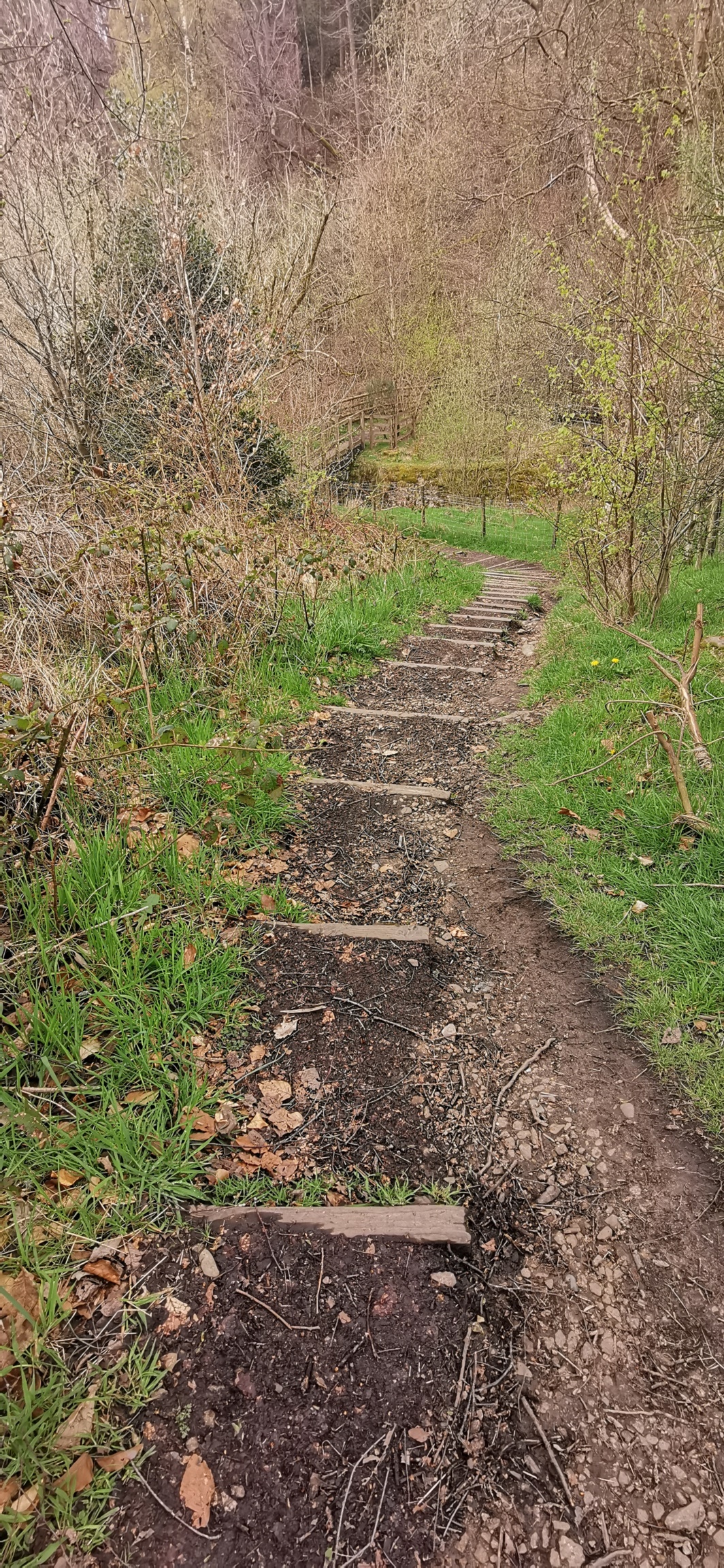 Photo taken between Swallow Photo taken between Swallow