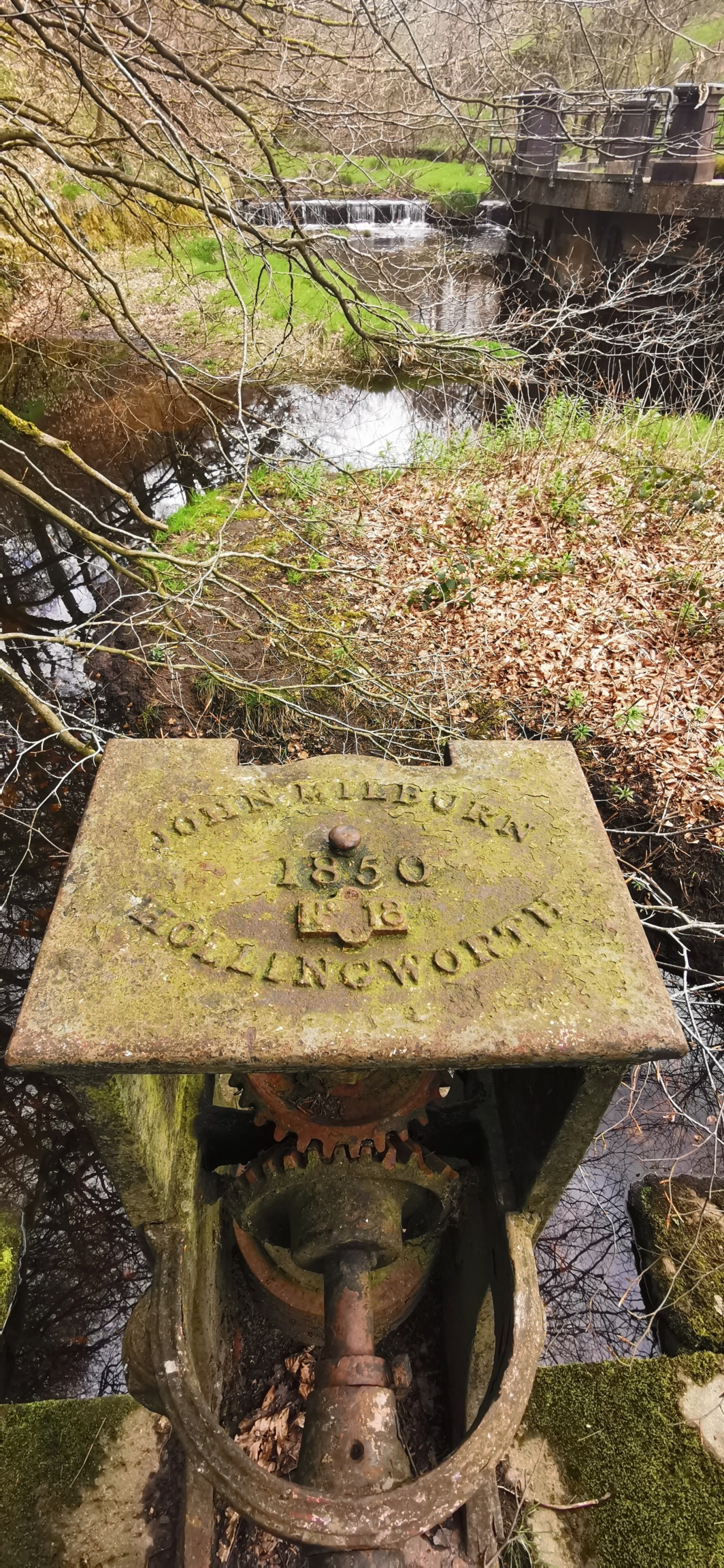 Photo taken between Swallow Photo taken between Swallow