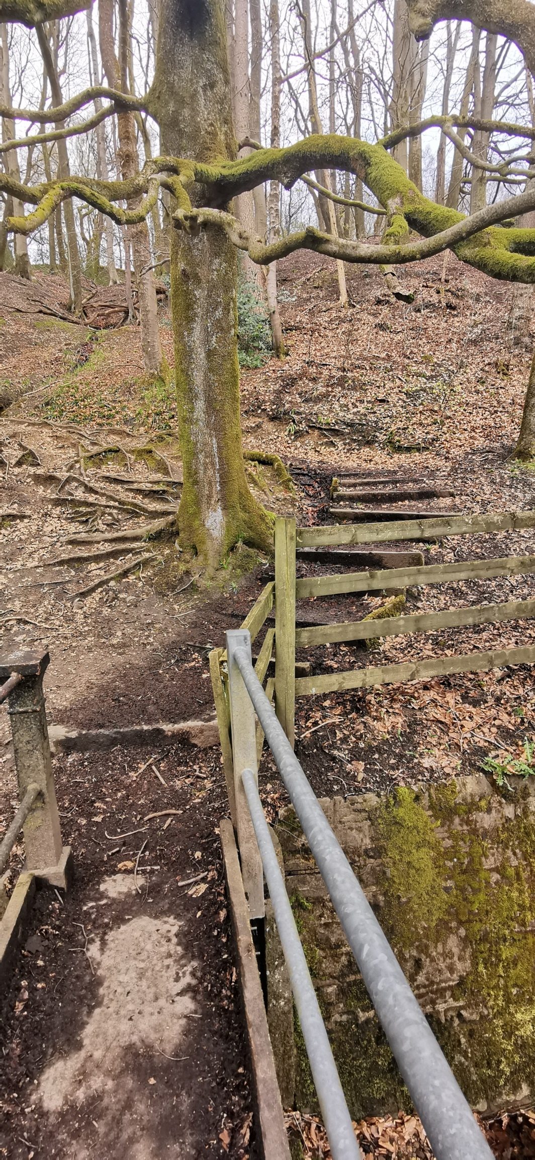 Photo taken between Swallow Photo taken between Swallow