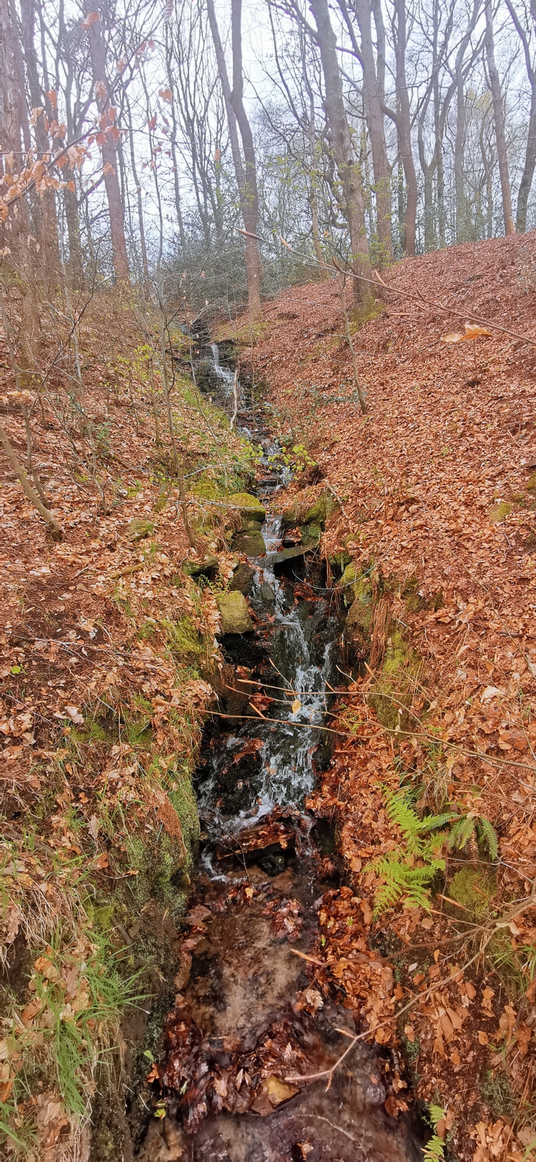 Photo taken between Swallow Photo taken between Swallow