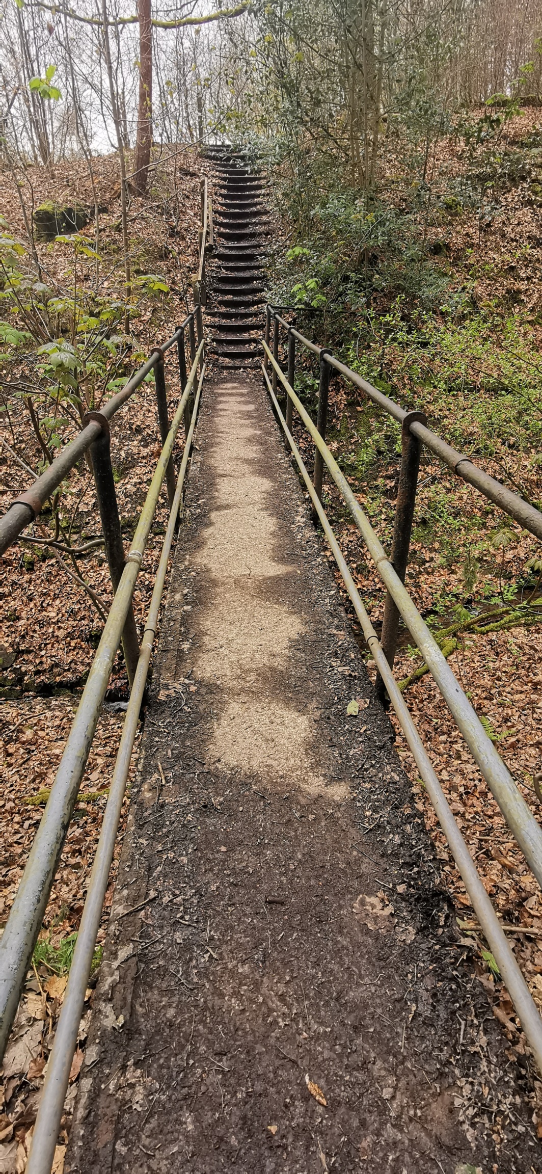 Photo taken between Swallow Photo taken between Swallow