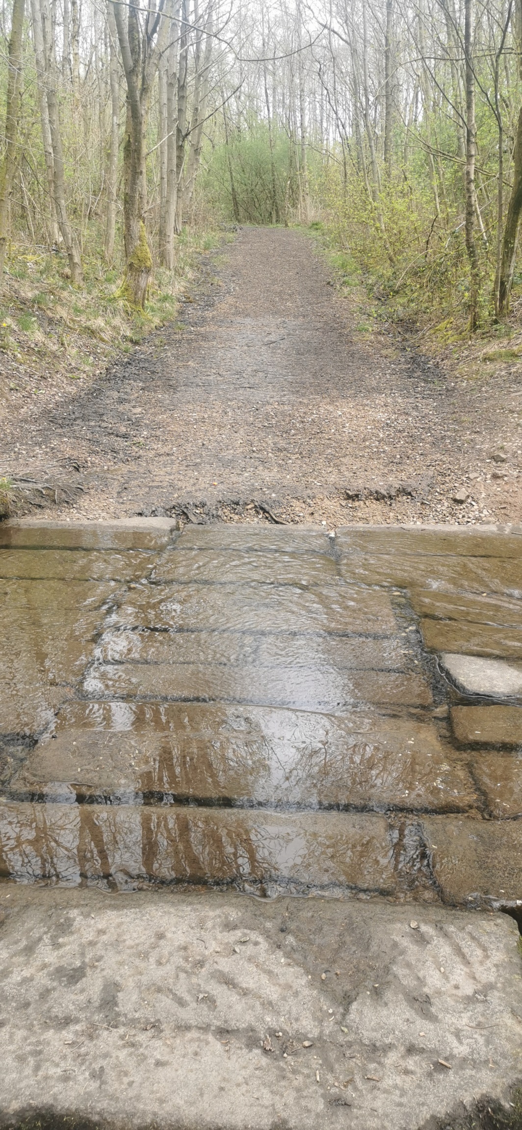 Photo taken between Swallow Photo taken between Swallow